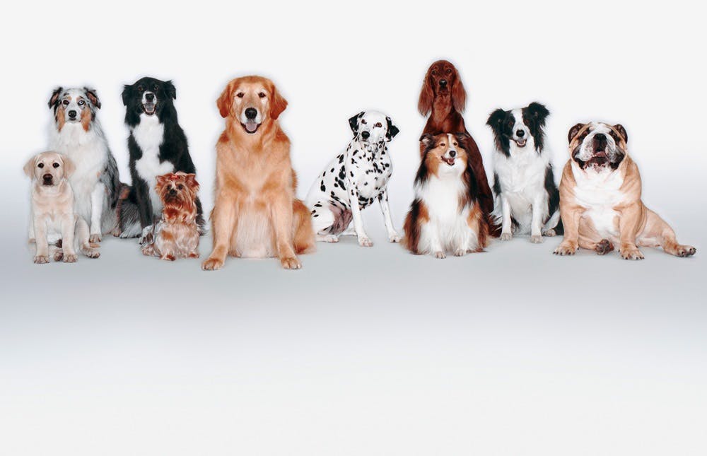 9ef577a77dbb4aa9a0788b5e427f5a64